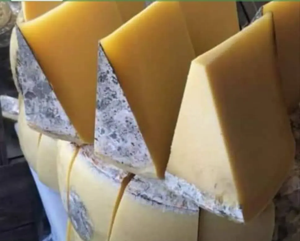 18 Aylık Eski Kars Kaşarı